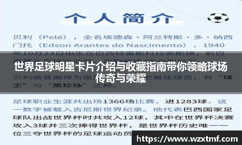 世界足球明星卡片介绍与收藏指南带你领略球场传奇与荣耀